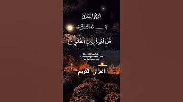 سورة الفلق #القرآن_الكريم #تلاوت_القرٱن #foryou #islamicvideo #quran #malikzaheerd3t