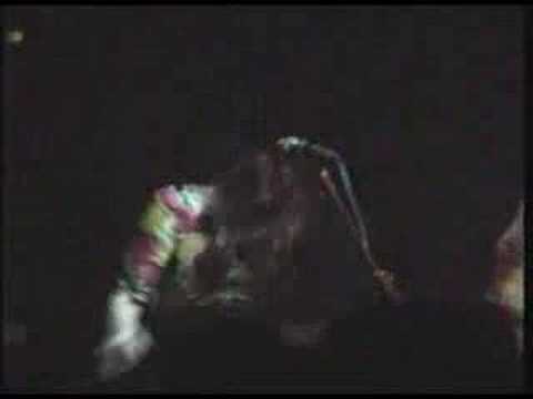 Voice of the Beehive - Only If You Want To - Live