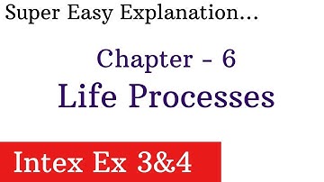 INTEXT EX 3 - 4 | Chapter 6 - Life Processes |NCERT SOLUTION FOR CLASS 1O SCIENCE