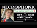 Asking Sebastian About Lights Video - Spirit Box -
