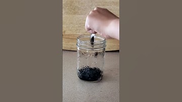 vegan grass jelly milk tea