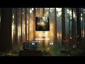 AERIAL | Atmospheric | Creator Music Library - Copyright Free Music