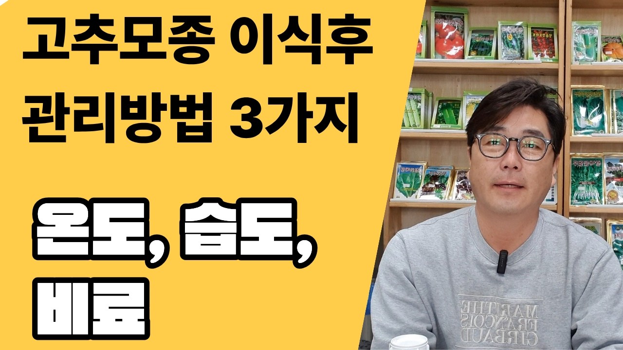 초보도 쉽게하는  고추모종 관리방법 3가지 