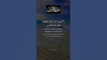 Surat At-Tin (The Fig) | Mishary Rashid Alafasy | مشاري بن راشد العفاسي | سورة التين