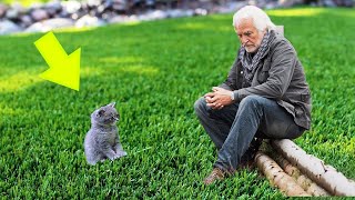 Tiny Kitten Walks Up To A Fisherman & Begs For Help, Unexpected Events Unfold!