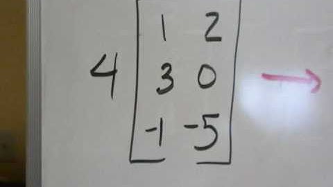 Scalar Multiplication Matrices
