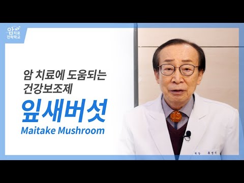 암 치료에 도움되는 건강보조제 <strong>잎새버섯</strong>