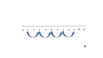 Grade 3   number line