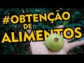 ALIMENTOS na SELVA | Cambuci