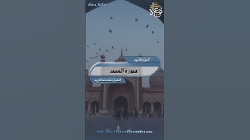 تلاوة خاشعة سورة المسد تلاوة الشيخ محمد عبدالكريم