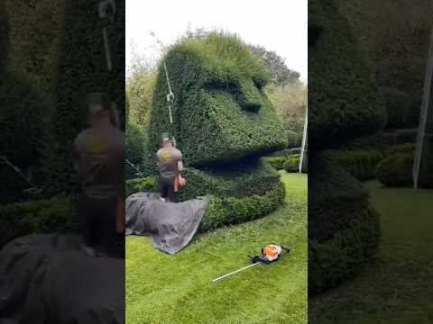 إتقان قص العشب شاهد المهارة في العمل