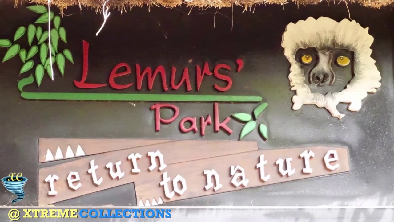 Lemurs' Park in Antananarivo, Madagascar - YouTube