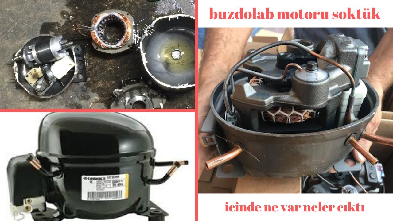 Buzdolabı motorunu açtık,bakalım içinden neler çıktı?