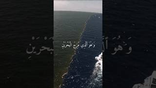 وَهُوَ الَّذِي مَرَجَ الْبَحْرَيْنِ | القارئ ادريس ابكر