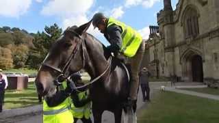 Martin Clunes - The Great Dragon Ride opening - Wed 19 Sep 2012 Wealth