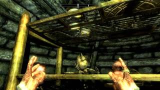 Skyrim Dancing Bug
