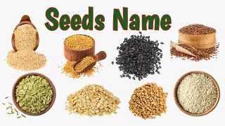 Healthy Seeds Name with pictures | Seeds Name in Hindi and English | Seeds Name for Kids screenshot 3
