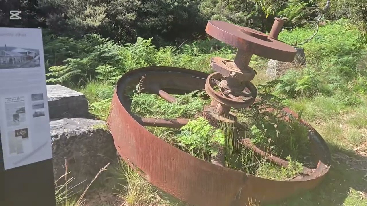 Cockle Creek Tasmania Feb 2026 Part 1