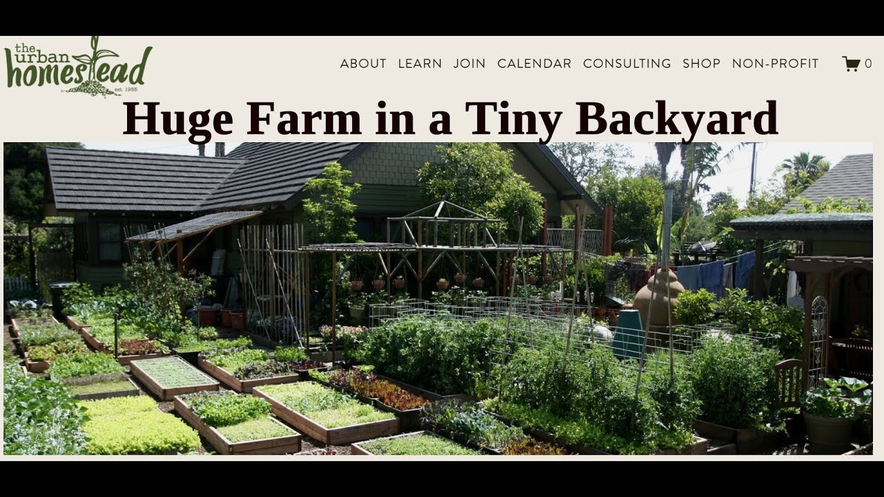 Huge farm in a tiny backyard - YouTube