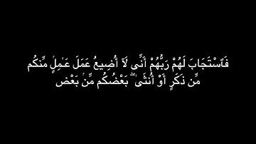 اخر عشر ايات من سورة ال عمران - خواتيم ال عمران شاشة سوداء
