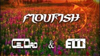 CelDro & Emil Wennerholm - Flourish
