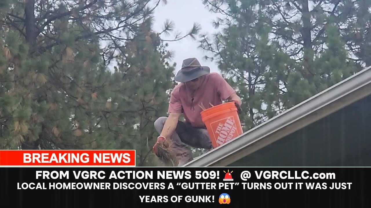 Gutter Monster 🚨GUTTER PET OR GUNK MONSTER? VGRC ACTION NEWS INVESTIGATES!🚨 ☔@ VGRCLLC ...