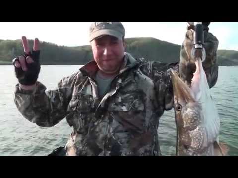 Первая в жизни щука