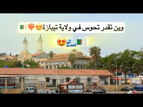 وين تقدر تحوس في تيبازة