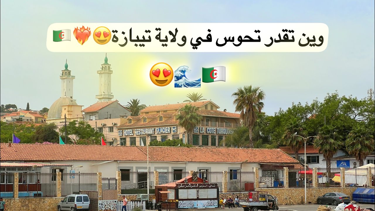 وين تقدر تحوس في تيبازة💵🤔🇩🇿❤️‍🔥