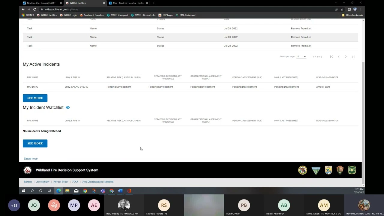 WFDSS NextGen Focus Group Session 2 on 7/28/2022 (meeting recording).
