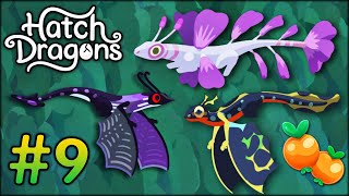 We Got The Violet Wildbloom Dragon And The Lake Cutter Dragon!! | Hatch Dragons - Part 9 We Got The Violet Wildbloom Dragon And The Lake Cutter Dragon!! | Hatch Dragons - Part 9