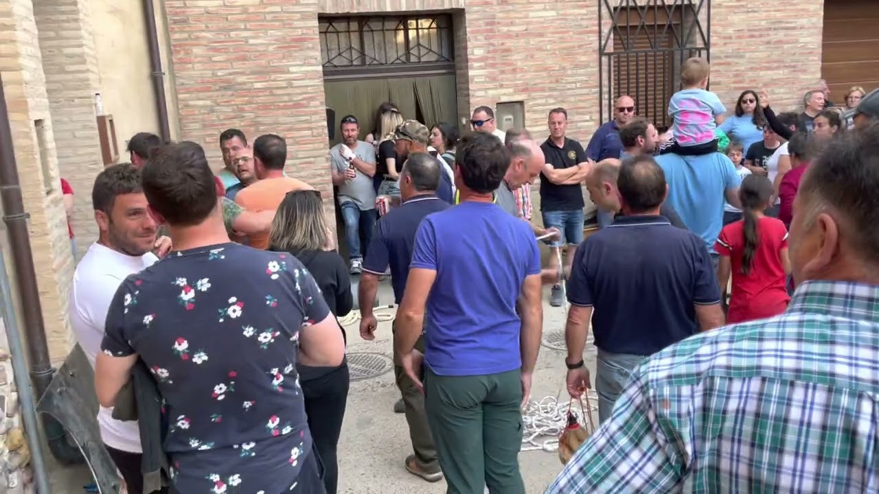 El Mayo de Maleján. 2023