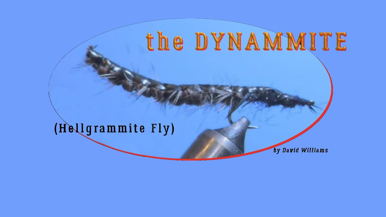 Helgrammite Fly Pattern by David Williams 