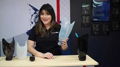 Sealing Inner Flexible to Coyote Prosthetic Locks