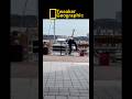 Tweaker Geographic Episode 61: “Karaoke”