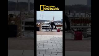 Tweaker Geographic Episode 57: “Karaoke”