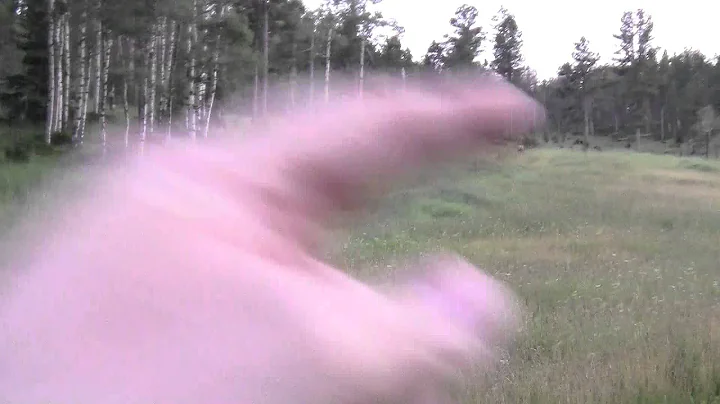 Elk Run