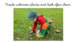 VALDEBERNARDO 1 EP Natural Science  Wild plants and cultivated plants