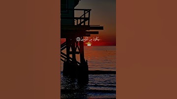 سورة الأنعام { ٢٧ ــ ٢٩ } #ياسر_الدوسري انشر تؤجر #القرآن_الكريم