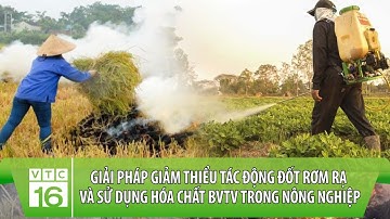 Giải pháp giảm thiểu tác động đốt RƠM RẠ và sử dụng hóa chất BVTV trong nông nghiệp | VTC16