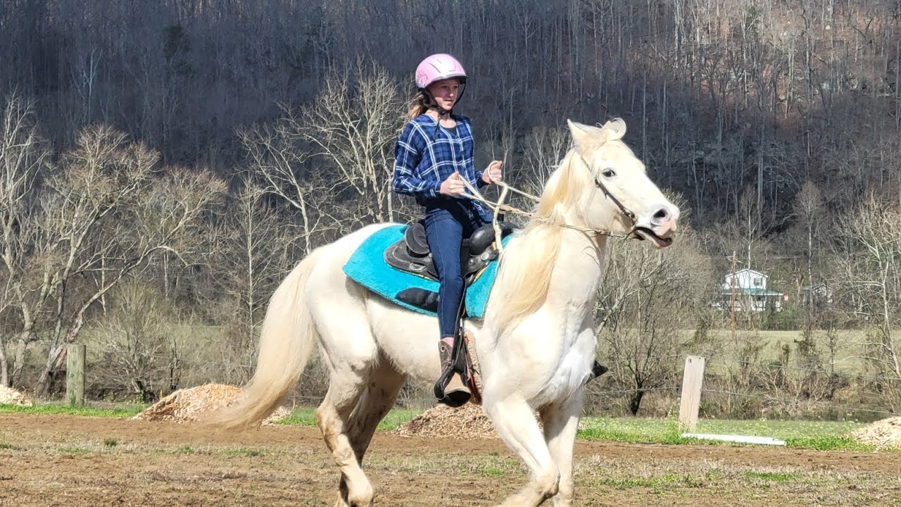 Canter Riding Pattern Riding Sierra! 🏇🏻💕 (barrel pattern/trotting/cantering) - YouTube