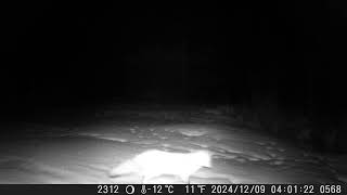 2024 — DSCF0568