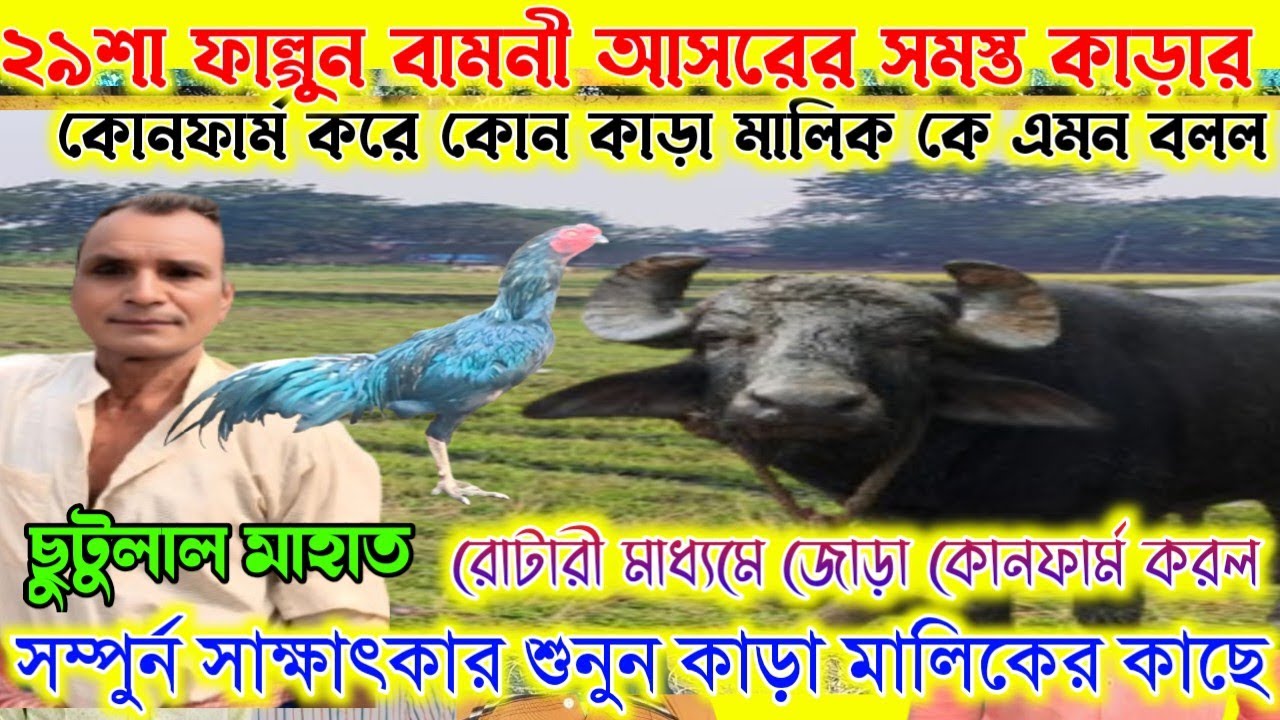 বামনী আসরের সমস্ত কাড়ার 🔥 জোড়া কোনফার্ম করে। কোন মালিক কে এমন বলেন। হাইভোল্টেজ সাক্ষাৎকার শুনুন।