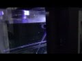 new water cooling for my old pc, but xspc x20 750 fails at silence