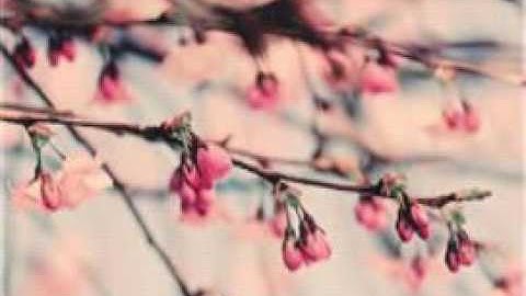 (سوره الهمزة ) لن تأخذ منك إلا ثواني اكسب أجرها