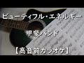 ビューティフル・エネルギー 甲斐バンド【高音質カラオケ】&plusmn;0 F