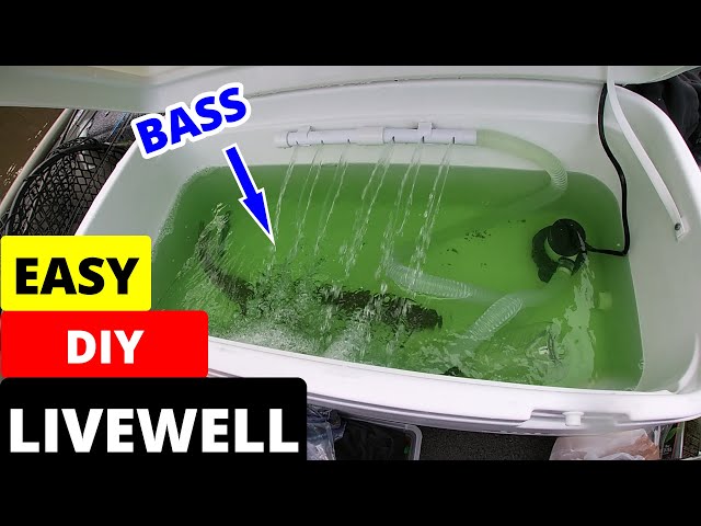 EASIEST DIY LIVEWELL For Jon Boat {Unboxing, Install, On The Water Demo,  Review} 