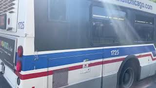 CTA New Flyer D40LF Bus 1725 On Rt 50 Damen