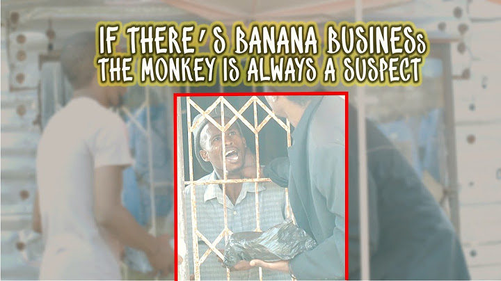 uDlamini YiStar Part 3 - I'm the business Man (Episode 09)