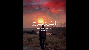 القارئ ياسر الدوسري😴❤️وإذا قرئ القرآن فاستمعوا له | قرآن كريم بصوت جميل جدا